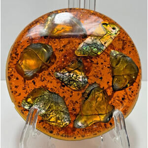 Vtg Orange Lucite Abalone Shell Trivet Hot Plate 70s Pacific Ocean Shells 5.5"